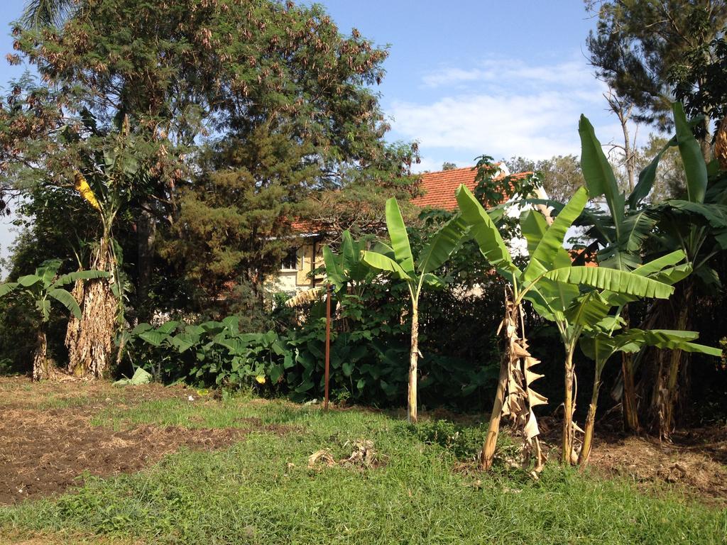 Bikeventures House Uganda Hotel Jinja Kültér fotó